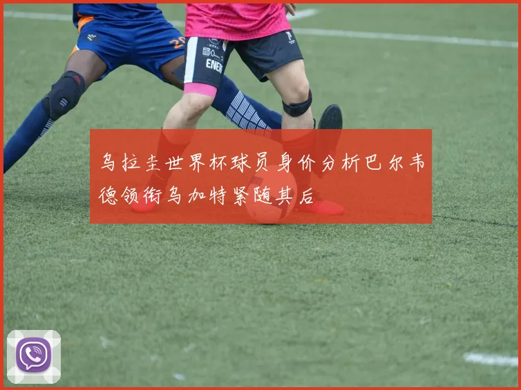 乌拉圭世界杯球员身价分析巴尔韦德领衔乌加特紧随其后