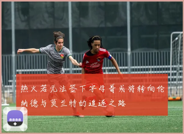 热火若无法签下字母哥或将转向伦纳德与莫兰特的追逐之路