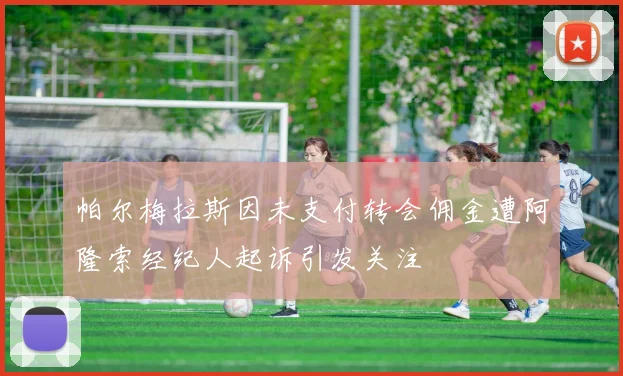 帕尔梅拉斯因未支付转会佣金遭阿隆索经纪人起诉引发关注