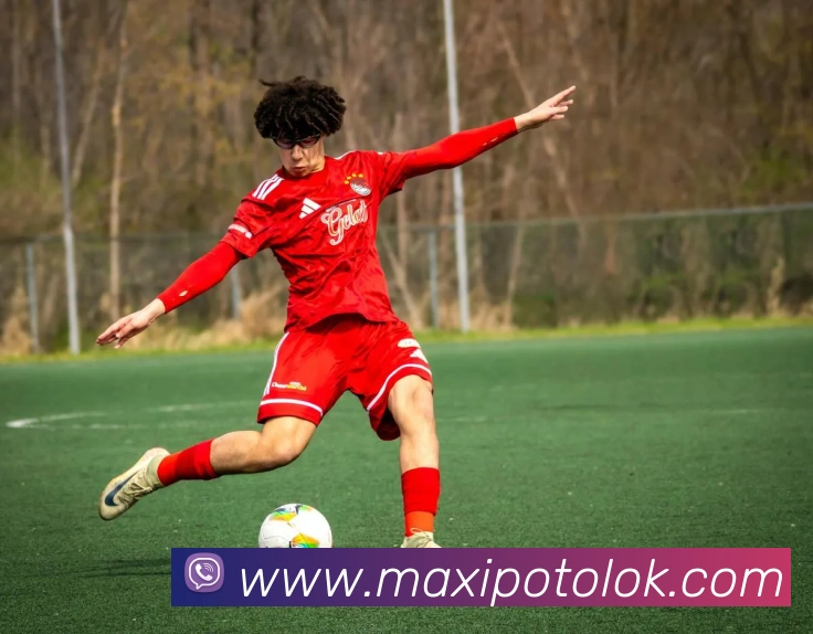 体育数据展示
